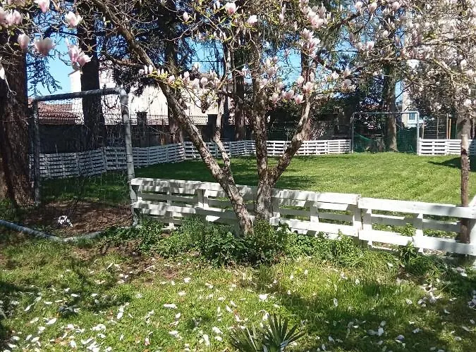 Διαμέρισμα Chez Ben Avec Le Confort Clim Wifi Netflix Gratuit Καστρ