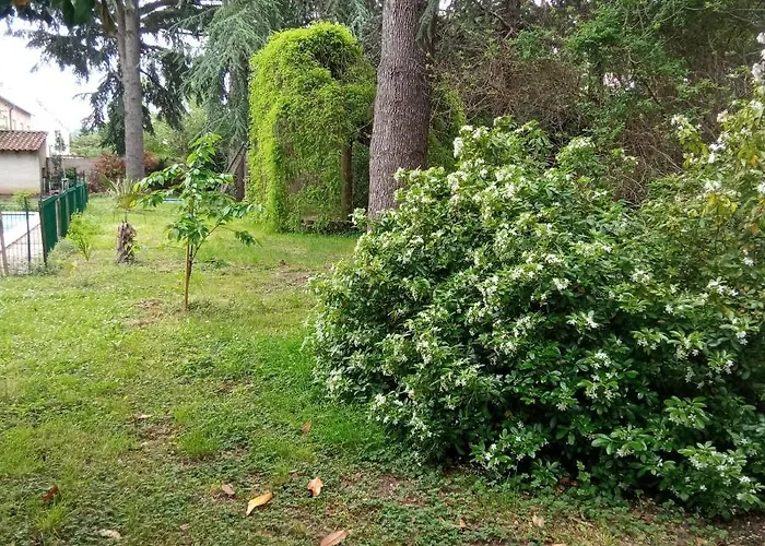 Chez Ben Avec Le Confort Clim Wifi Netflix Gratuit Διαμέρισμα *