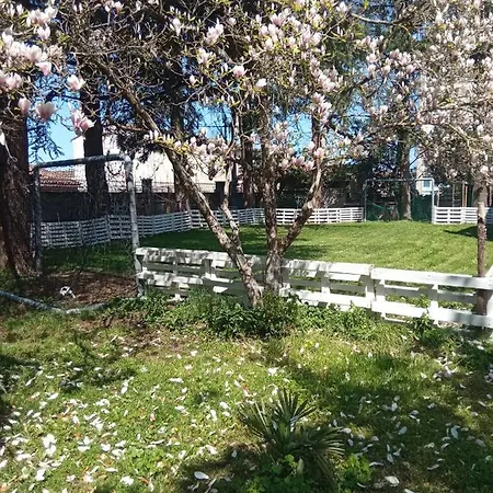 Apartment Chez Ben Avec Le Confort Clim Wifi Netflix Gratuit Castres (Tarn)